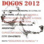 Imagen destacada del artículo «Exposición Patagonica "DOGOS 2012"»